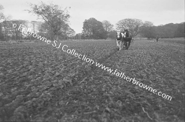 SOWING EARLY WHEAT